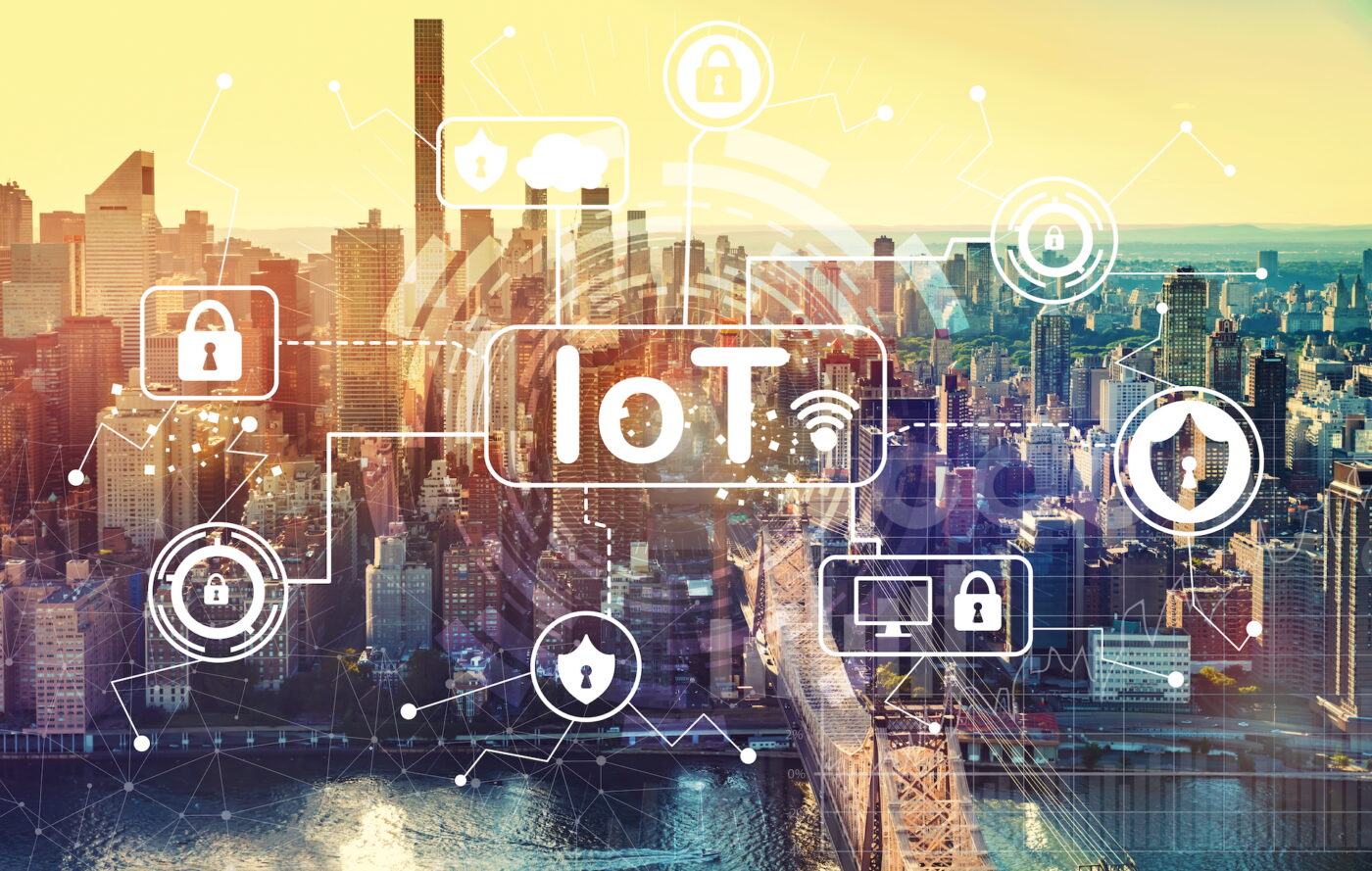 Navigating IoT Network Risk Assessments 