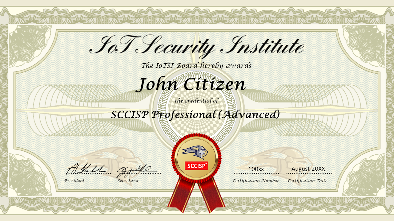 JOHN CITIZEN Certificate SCCISP Professional